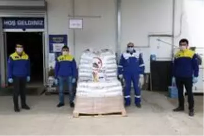 Ordu'da sokak hayvanları unutulmuyor