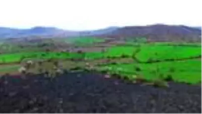 'Yanık Ülke' ilkbaharla renklendi 'Yanık Ülke' ilkbaharla renklendi