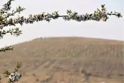 'Yanık Ülke' ilkbaharla renklendi 'Yanık Ülke' ilkbaharla renklendi
