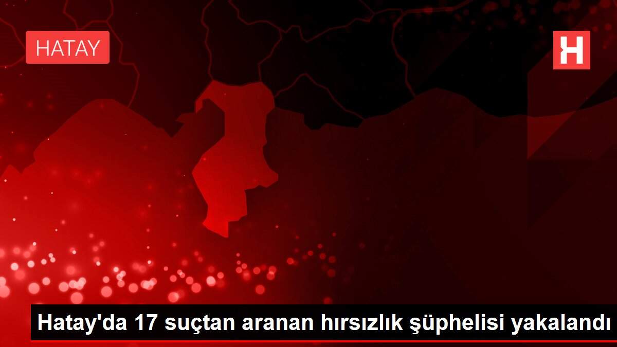 Hatay'da 17 suçtan aranan hırsızlık şüphelisi yakalandı