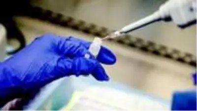 Hayvanlar üzerinde denenecek ilk koronavirüs aşısının sonuçları Haziran'da belli olacak Hayvanlar üzerinde denenecek ilk koronavirüs aşısının sonuçları Haziran'da belli olacak