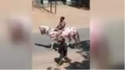 Hindistan'da ilginç koronavirüs uyarısı: Atın üzerine virüsün resmini çizdi