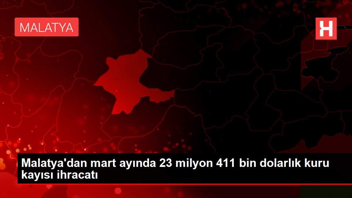 Malatya'dan mart ayında 23 milyon 411 bin dolarlık kuru kayısı ihracatı