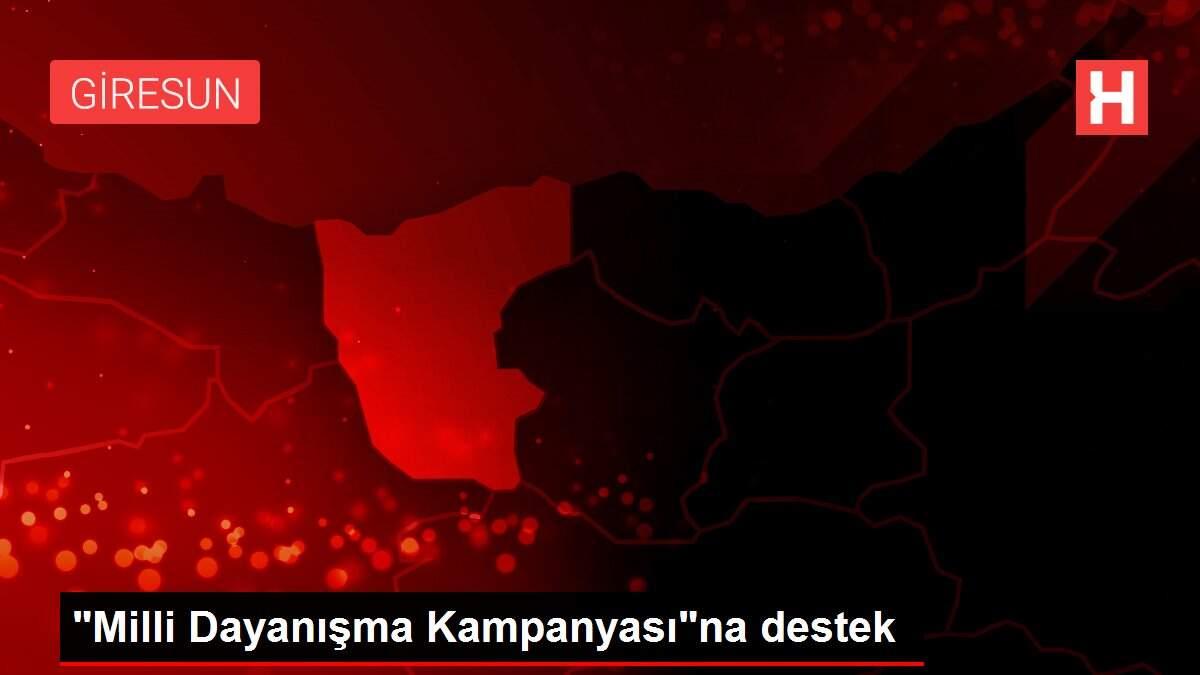 'Milli Dayanışma Kampanyası'na destek