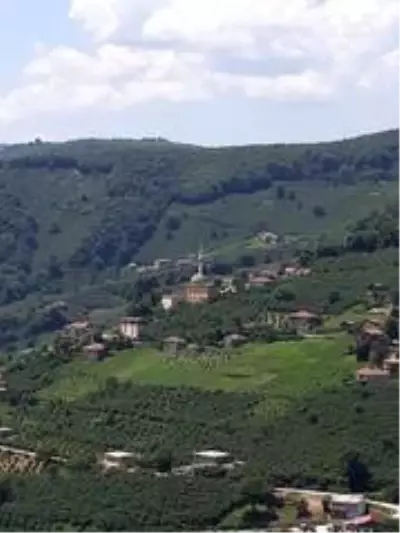 Ordu'da bir mahalle karantinaya alındı