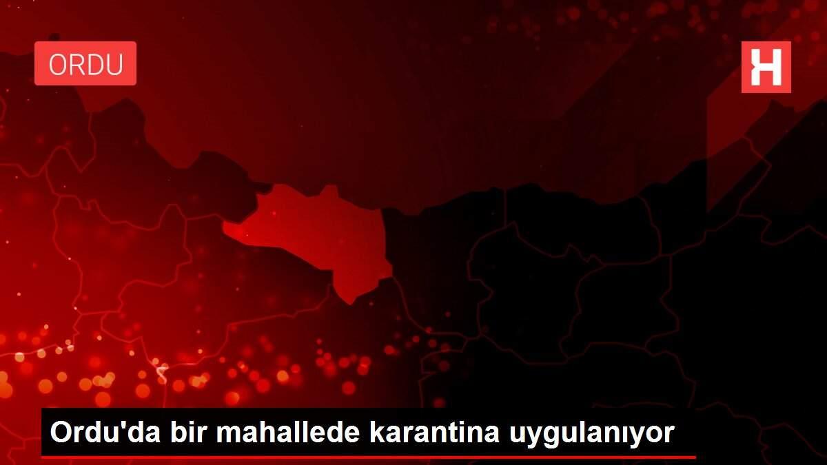 Ordu'da bir mahallede karantina uygulanıyor