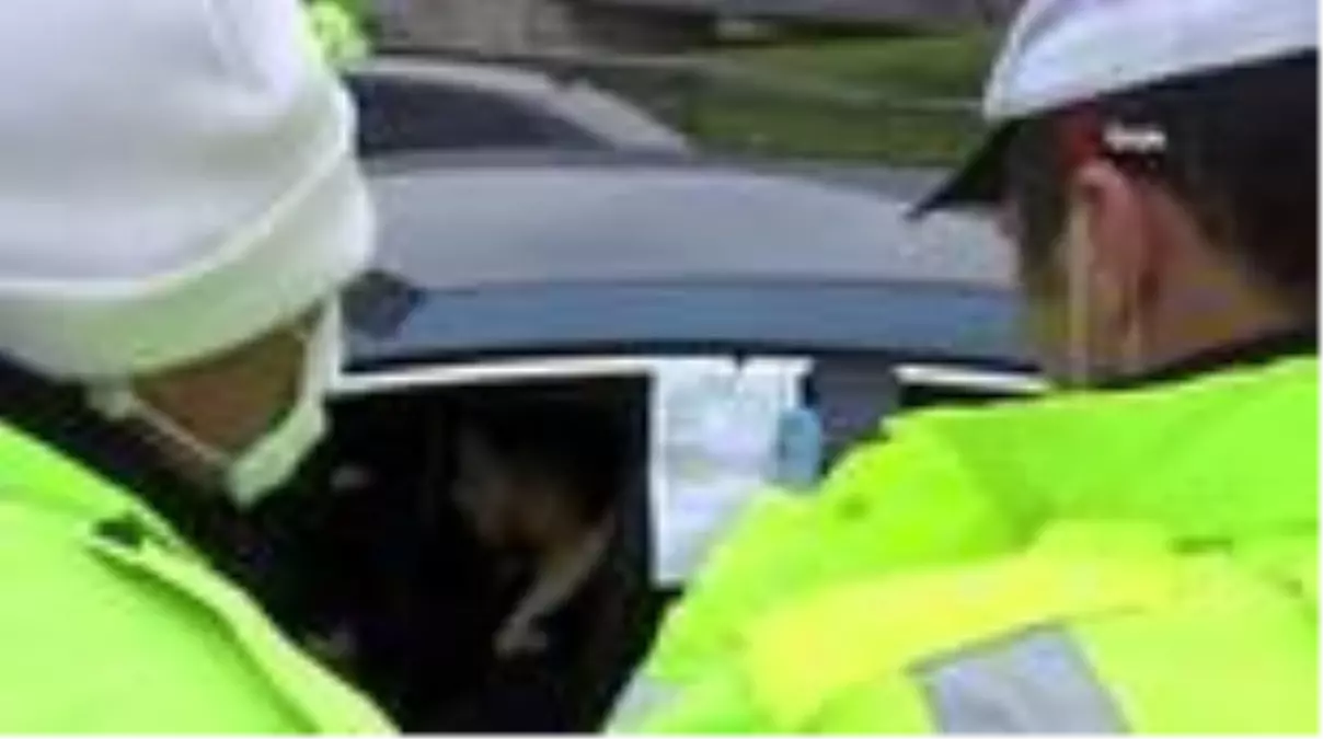 Şehirlerarası yolculuk yapan 78 yaşındaki kadından polislere: 'Ben buranın havasını götüremez...