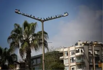 Yurt genelinde evde kal çağrısına büyük oranda uyuluyor