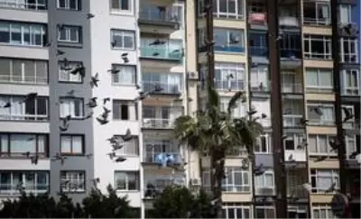 Yurt genelinde evde kal çağrısına büyük oranda uyuluyor