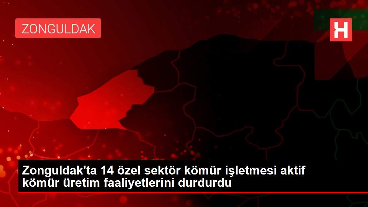 Zonguldak'ta 14 özel sektör kömür işletmesi aktif kömür üretim faaliyetlerini durdurdu