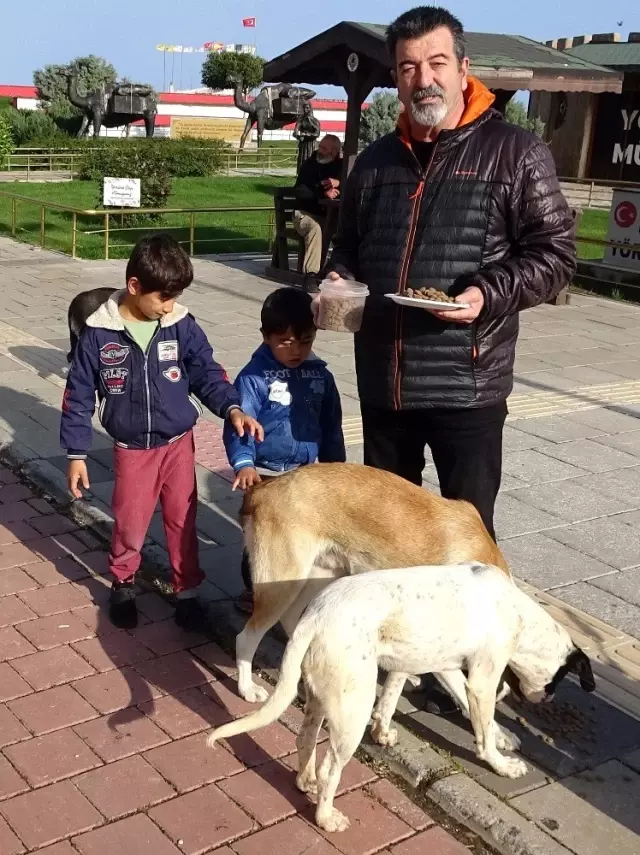 Zor günler yaşayan sokak köpeklerine mama desteği Haberler