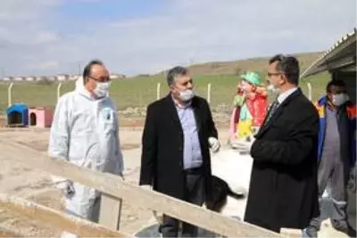 Başkan Demirbaş, Sokak Hayvanları Doğal Yaşam Parkı'nda incelemede bulundu