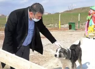Başkan Demirbaş, Sokak Hayvanları Doğal Yaşam Parkı'nda incelemede bulundu