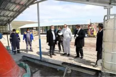 Başkan Demirbaş, Sokak Hayvanları Doğal Yaşam Parkı'nda incelemede bulundu