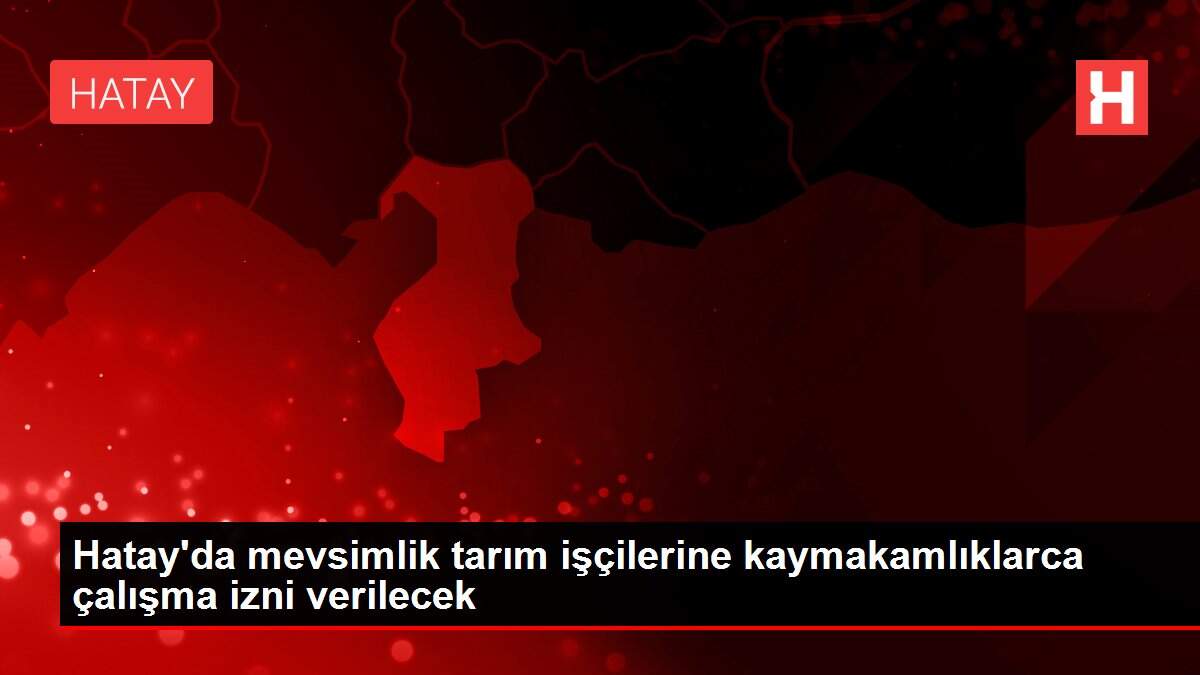 Hatay'da mevsimlik tarım işçilerine kaymakamlıklarca çalışma izni verilecek