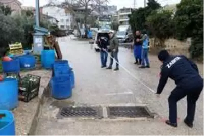 Mudanya'da pazar yeri denetimleri sürüyor Mudanya'da pazar yeri denetimleri sürüyor