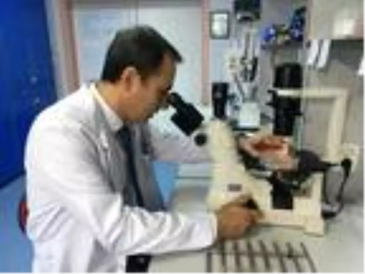 Prof. Dr. Kadir Yeşilbağ: Koronavirüs aşısı en erken yıl sonunda hazır olur