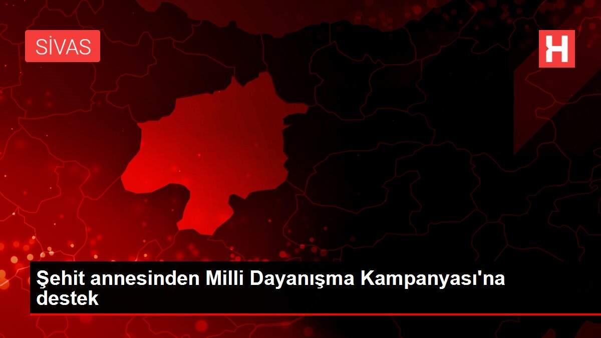 Şehit annesinden Milli Dayanışma Kampanyası'na destek Şehit annesinden Milli Dayanışma Kampanyası'na destek