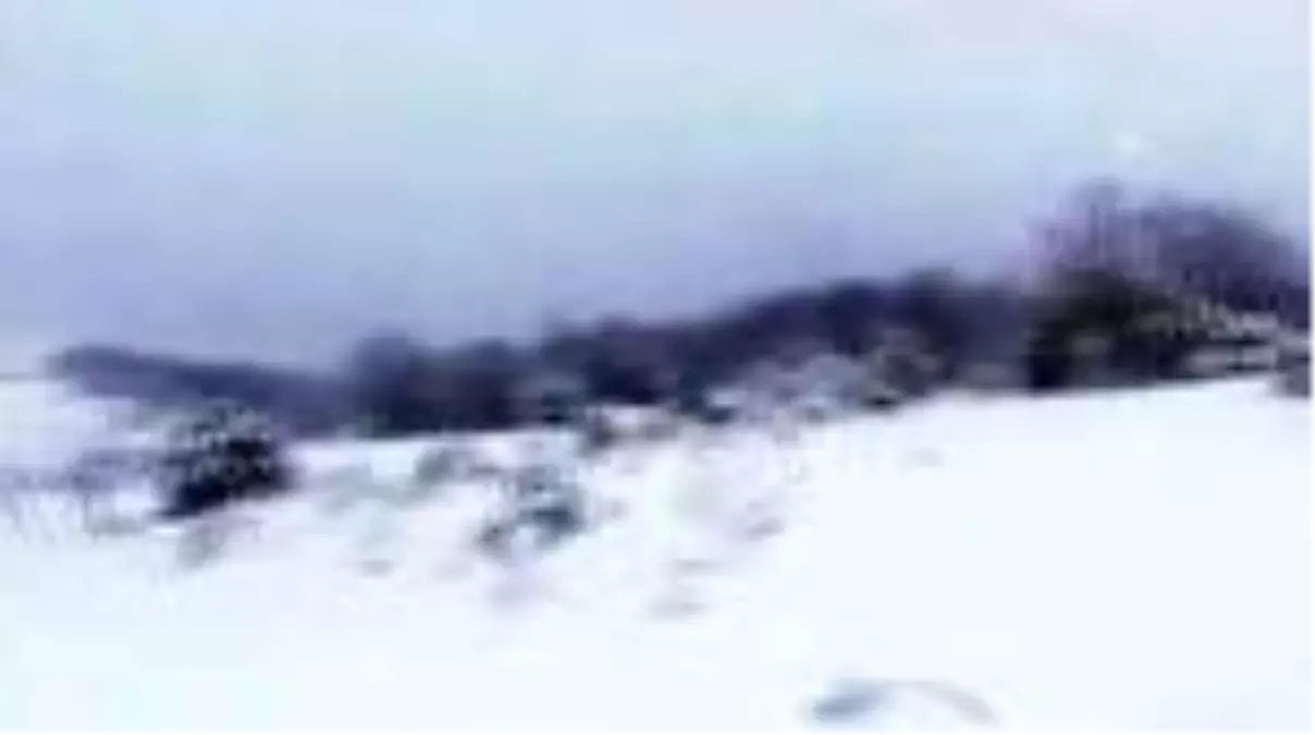 Yüksek kesimlere kar yağdı