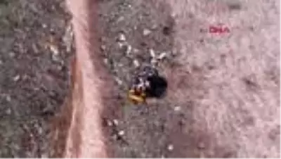 KAYSERİ Selfie çekmek isterken kayalıklardan yuvarlandı KAYSERİ Selfie çekmek isterken kayalıklardan yuvarlandı