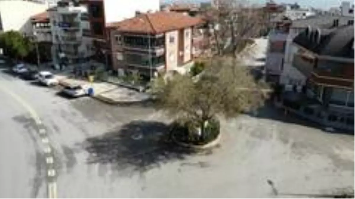 (Özel) Yolun ortasında tek kaldı, görenler şaşkına dönüyor
