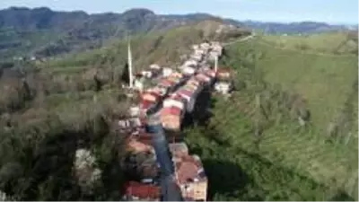 Seyahat yasağı, bu iki bölgede geçerli değil! Sebebi ise olaydan daha ilginç Seyahat yasağı, bu iki bölgede geçerli değil! Sebebi ise olaydan daha ilginç