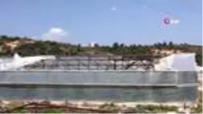 Antalya'da seralardaki hasar günün ağarması ile ortaya çıktı Antalya'da seralardaki hasar günün ağarması ile ortaya çıktı