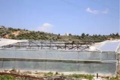 Antalya'da seralardaki hasar günün ağarması ile ortaya çıktı Antalya'da seralardaki hasar günün ağarması ile ortaya çıktı