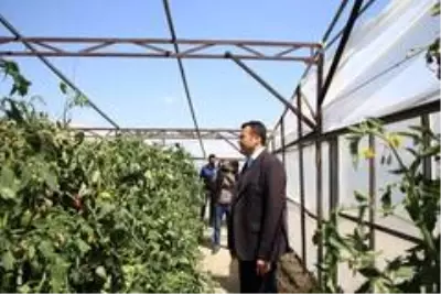 Antalya'da seralardaki hasar günün ağarması ile ortaya çıktı Antalya'da seralardaki hasar günün ağarması ile ortaya çıktı