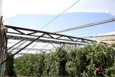Antalya'da seralardaki hasar günün ağarması ile ortaya çıktı Antalya'da seralardaki hasar günün ağarması ile ortaya çıktı