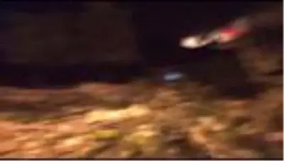 ANTALYA Kaş'ta 70 dönüm orman ile 4 dönümlük makilik ve zeytinlik yandı