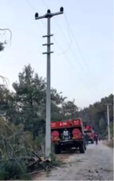Kaş'ta 70 dönüm orman ile 4 dönümlük makilik ve zeytinlik yandı