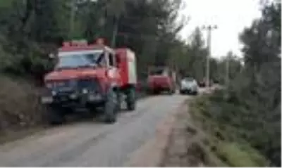Kaş'ta 70 dönüm orman ile 4 dönümlük makilik ve zeytinlik yandı
