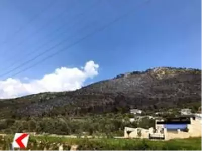 Kaş'taki yangın arı kovanlarını da vurdu