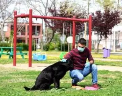 Muratpaşa 106 noktaya mama bırakıyor Muratpaşa 106 noktaya mama bırakıyor
