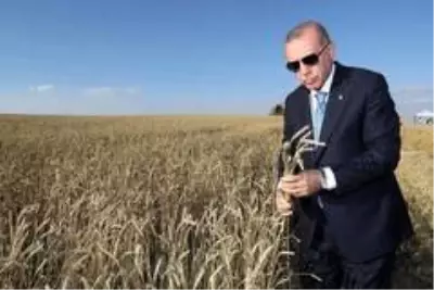 Erdoğan, AK Parti Erzurum İl Başkanı Öz'ün dile getirdiği tohum talebini çözüme kavuşturdu Erdoğan, AK Parti Erzurum İl Başkanı Öz'ün dile getirdiği tohum talebini çözüme kavuşturdu