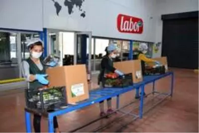 Kalkınma Kooperatifinden ihtiyaç sahiplerine sebze desteği Kalkınma Kooperatifinden ihtiyaç sahiplerine sebze desteği
