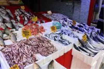 Koronaya karşı sezonun son balıklarıyla protein depoluyorlar