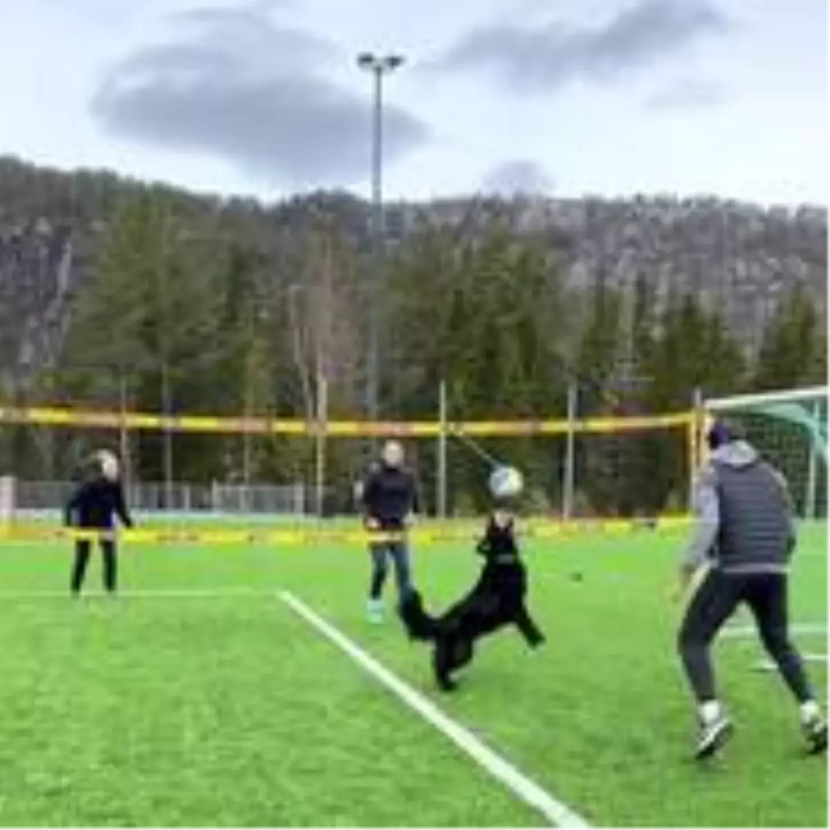 Norveçli voleybolcunun köpeğiyle antrenmanı hayran bıraktı