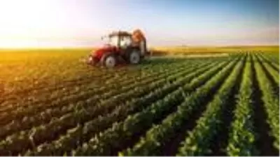 Yazlık ekim yapılabilecek 21 ilde tohumun yüzde 75'i üreticiye hibe olarak verilecek Yazlık ekim yapılabilecek 21 ilde tohumun yüzde 75'i üreticiye hibe olarak verilecek