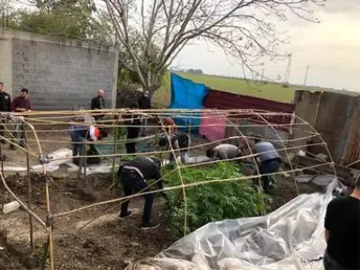 Adana'da bahçesinde Hint keneviri yetiştiren zanlı evden çıkamadığı için yetiştirdiğini söyledi Adana'da bahçesinde Hint keneviri yetiştiren zanlı evden çıkamadığı için yetiştirdiğini söyledi