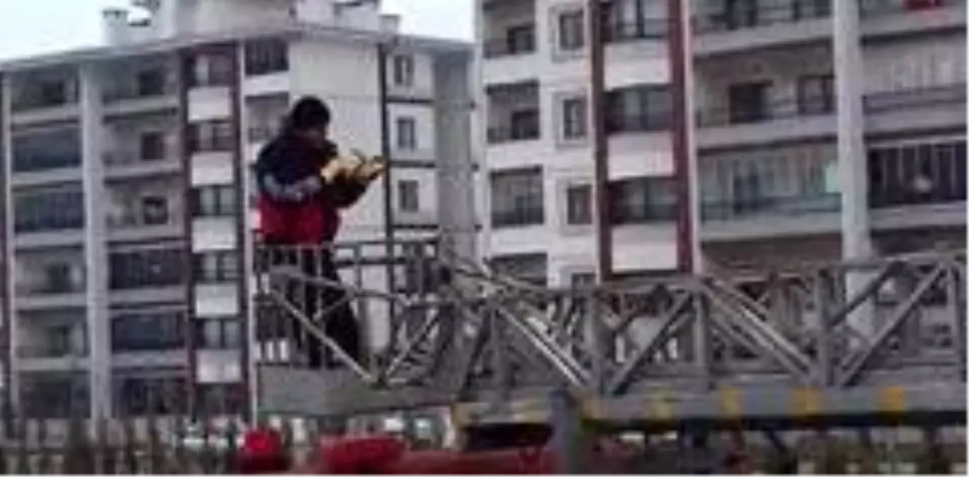 Çatıda mahsur kalan güvercini itfaiye kurtardı