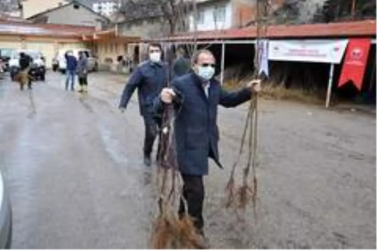 Gümüşhane'de 65 yaş üzeri çiftçilerin fidanları evlerine götürüldü
