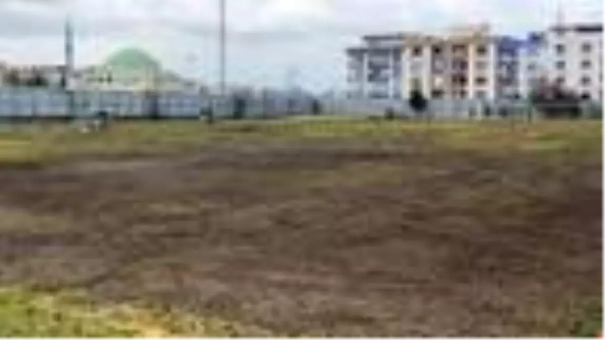 Manisaspor'dan zemin operasyonu