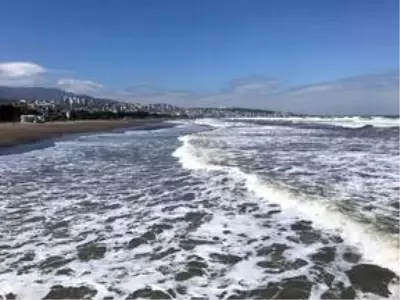 Samsun'da kuvvetli rüzgar etkili oluyor