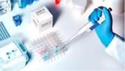Uzmanlar '12 ay içinde başarılı olacak bir aşı üretilir' diyorlar Uzmanlar '12 ay içinde başarılı olacak bir aşı üretilir' diyorlar