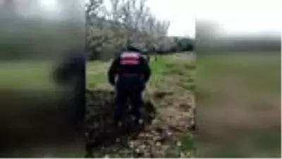 Antalya'da evinden çıkamayan çiftçinin tarlasını jandarma çapaladı Antalya'da evinden çıkamayan çiftçinin tarlasını jandarma çapaladı