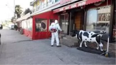 Başiskele'de ilaçlama çalışmaları aralıksız sürüyor Başiskele'de ilaçlama çalışmaları aralıksız sürüyor