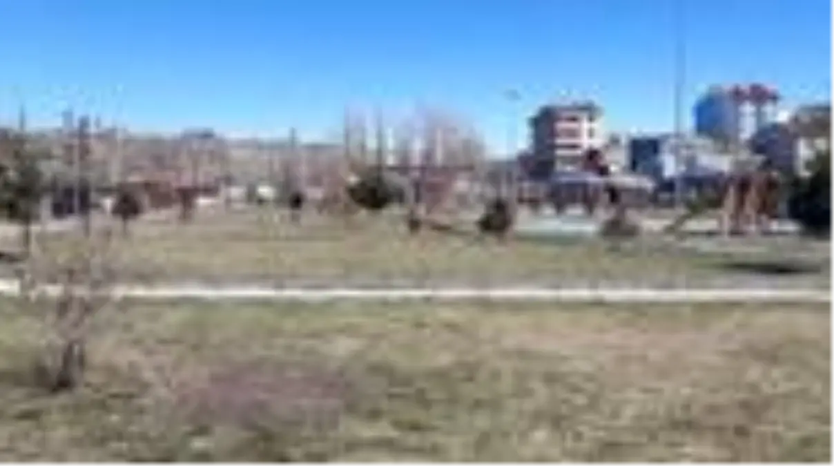 Doğu Anadolu'da Kovid-19 tedbirlerine uyuluyor