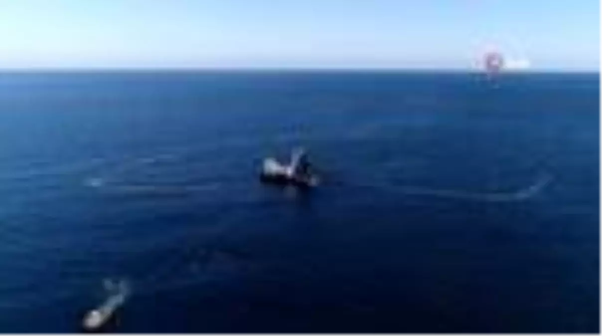 En fazla hamsi ihracatı Belçika'ya